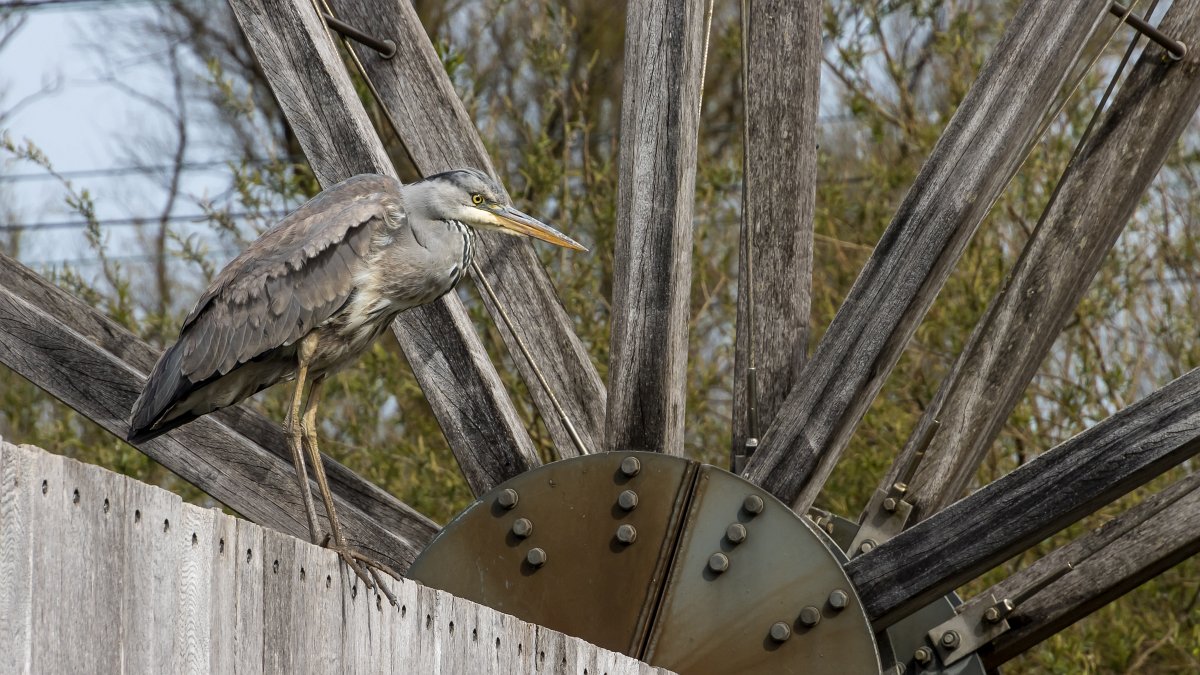 foto: [20220412PV6675]